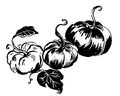 Image Not Available